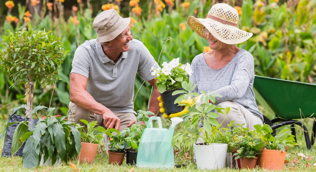 Happy grandmother and grandfather gardening