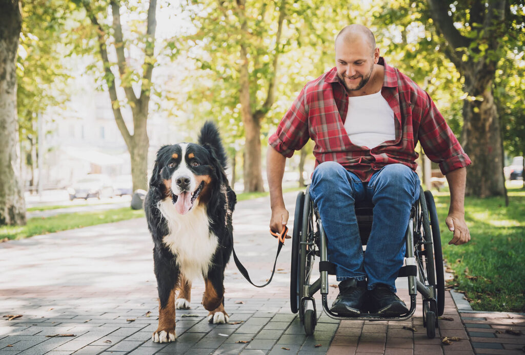 A Paraplegic Journey